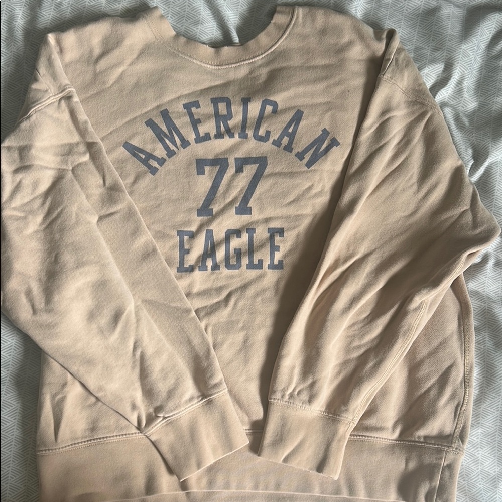American Eagle Outfitters Men's Beige Sweater